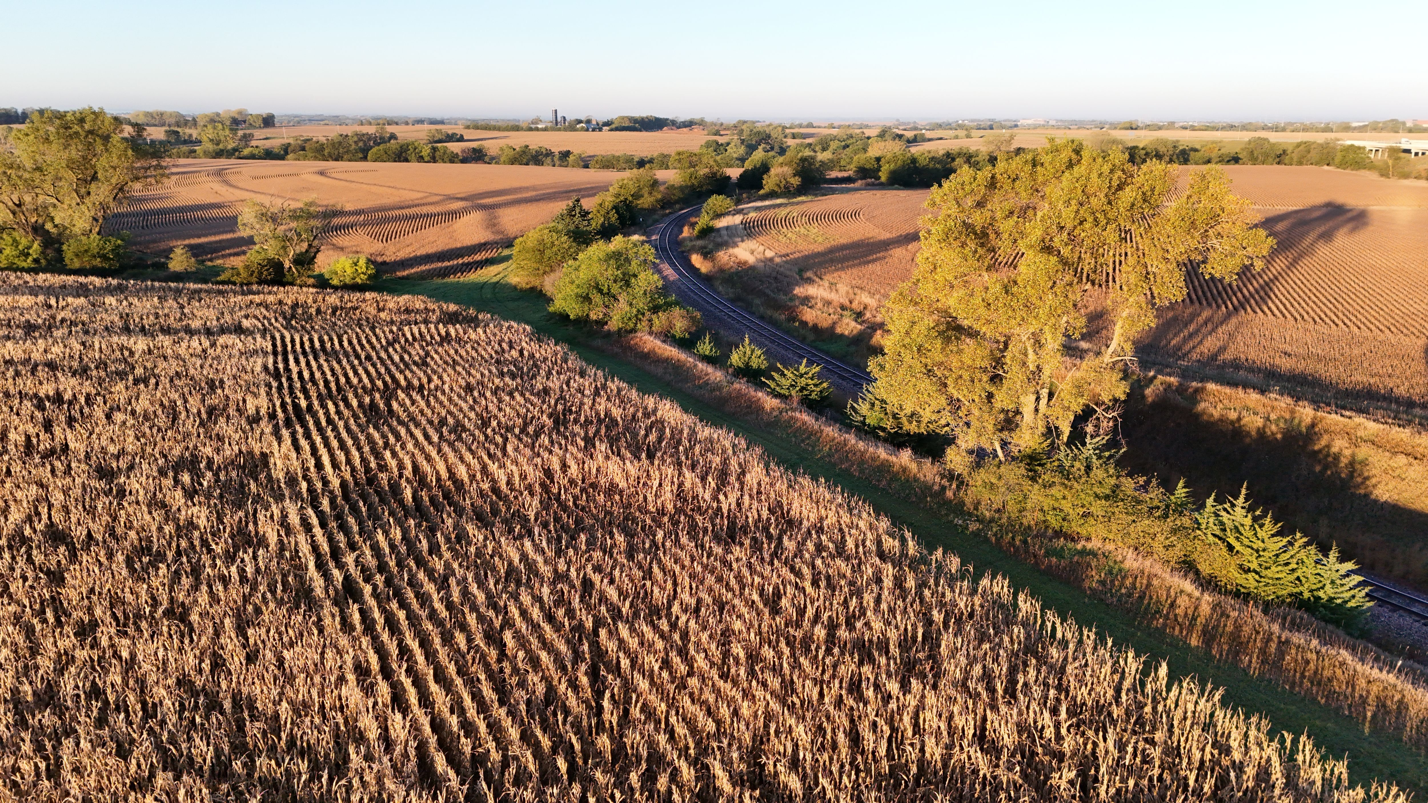 Listing Photo: lancaster-county-ne-125-acres (13)